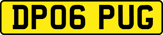 DP06PUG