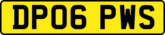 DP06PWS