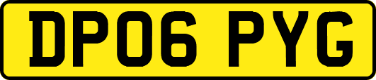 DP06PYG