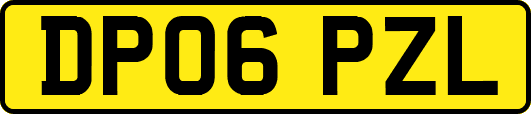 DP06PZL
