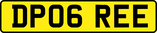 DP06REE