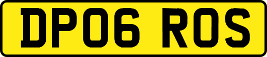 DP06ROS