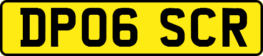DP06SCR