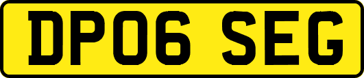 DP06SEG