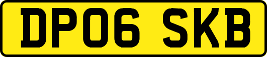 DP06SKB
