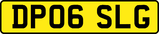 DP06SLG