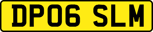 DP06SLM
