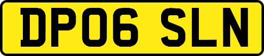 DP06SLN