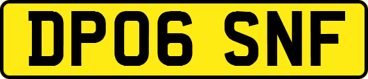 DP06SNF