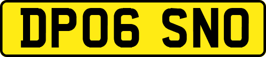 DP06SNO