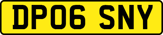DP06SNY