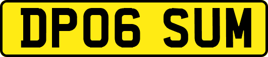 DP06SUM