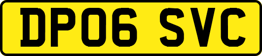 DP06SVC