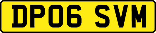 DP06SVM