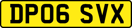 DP06SVX