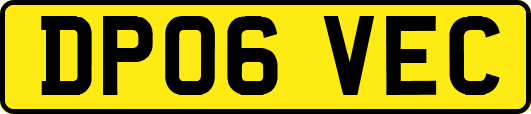 DP06VEC