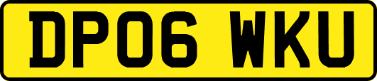DP06WKU