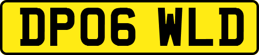 DP06WLD