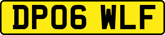DP06WLF