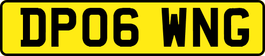 DP06WNG