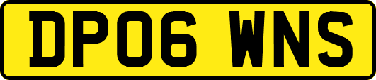 DP06WNS