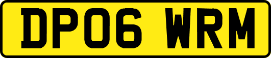 DP06WRM