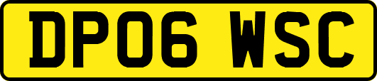 DP06WSC
