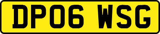 DP06WSG