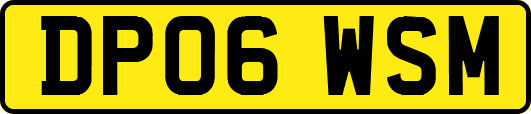 DP06WSM