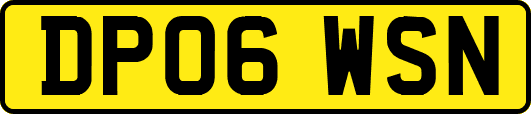 DP06WSN