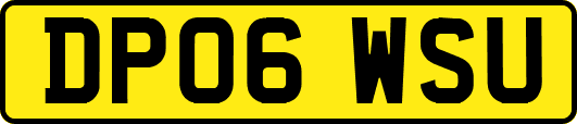 DP06WSU