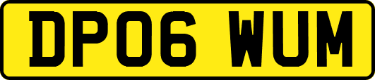 DP06WUM
