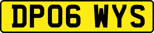 DP06WYS