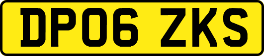 DP06ZKS