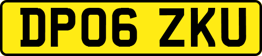 DP06ZKU