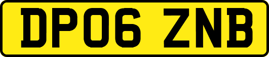 DP06ZNB