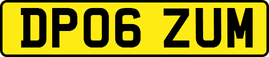 DP06ZUM