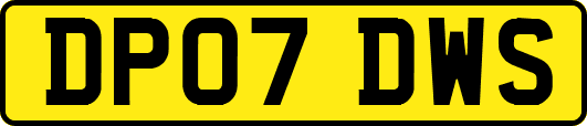 DP07DWS