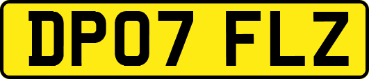 DP07FLZ