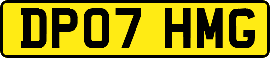 DP07HMG