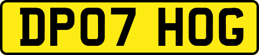 DP07HOG