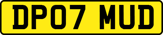DP07MUD