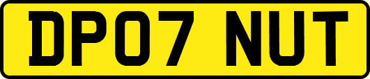 DP07NUT