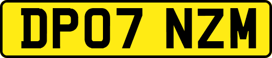 DP07NZM