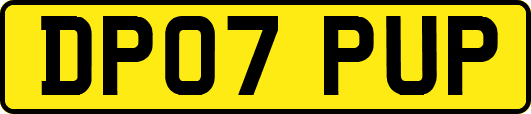 DP07PUP