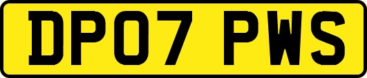 DP07PWS