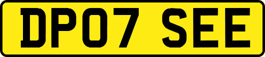 DP07SEE