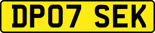 DP07SEK