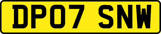 DP07SNW
