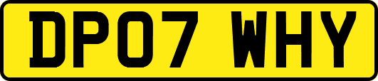 DP07WHY